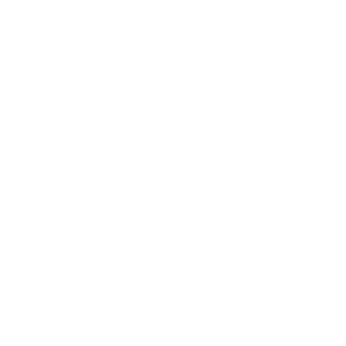 Flinex India