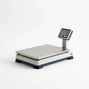 Industrial Platform Scale